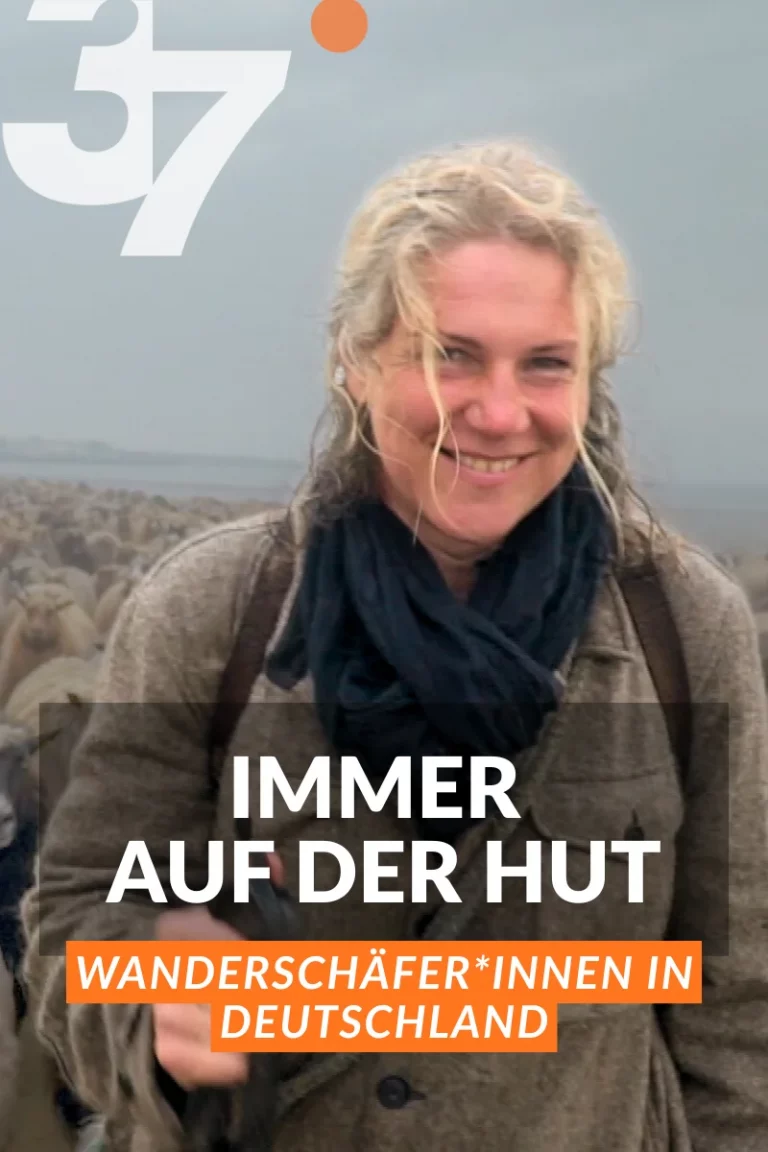 Im Hintergrund sieht man eine Herde Schafe. Die Frau im Vordergrund lächelt. Sie hat blonde, vom Wetter durchnässte und verwehte Haare und wetterfeste Kleidung an. Davor der Titel "Immer auf der Hut - Wanderschäfer*innen in Deutschland"