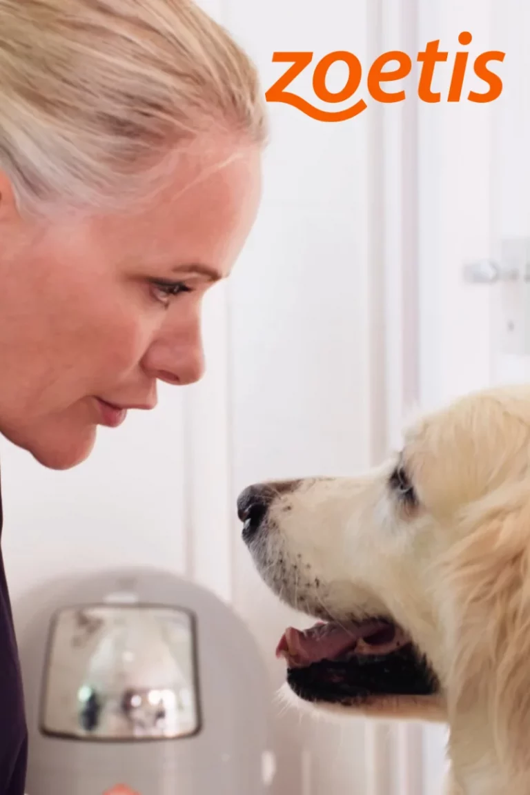 Produktion: Filmreihe „Schmerzfrei“ – Testimonialfilme für Tierhalter:innen